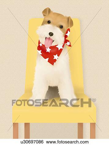 Stock Illustration - Wirehaired Fox Terrier wearing a scarf, sitting on a chair, front view, brown background. Fotosearch