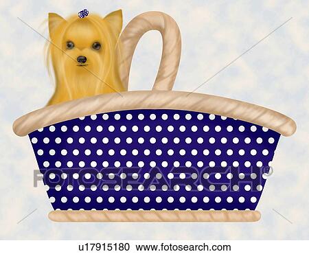 Clipart - Yorkshire Terrier in a basket, front view. Fotosearch