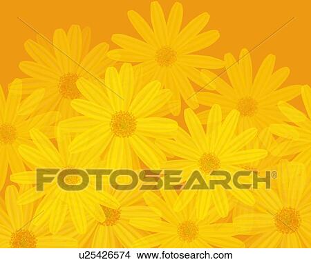 Closed Up Image of a Large Group of Yellow Marguerites, Illustration, Illustrative Technique View Large Illustration Stock Illustration - Closed Up Image of a Large Group of Yellow Marguerites, Illustration, Illustrative Technique. Fotosearch