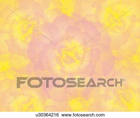 Stock Illustration - Closed Up Image of a Light Pink-colored Carnation, High Angle View, Illustration, Illustrative Technique. Fotosearch