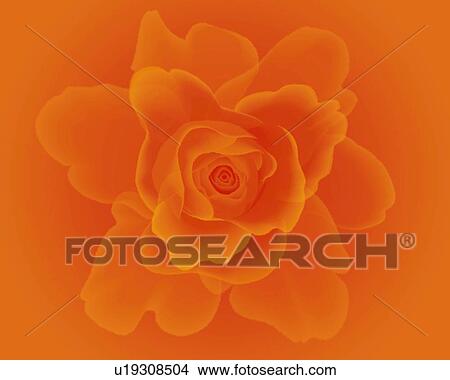 Stock Illustration - Closed Up Image of an Orange-colored Rose, High Angle View, Illustration, Illustrative Technique. Fotosearch