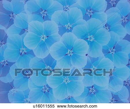 Stock Illustration - Closed Up Image of Blue-colored Hydrangea, Illustration, Illustrative Technique. Fotosearch