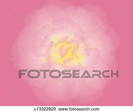 Closed Up Image of One Single Pink-colored Carnation, Illustration, Illustrative Technique View Large Illustration Stock Illustration - Closed Up Image of One Single Pink-colored Carnation, Illustration, Illustrative Technique. Fotosearch