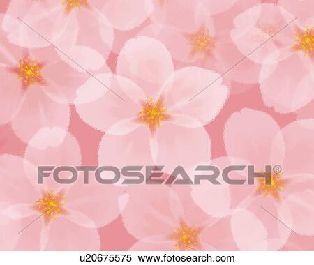 Stock Illustration - Closed Up Image of Several Cherry Blossoms, Illustration, Illustrative Technique. Fotosearch