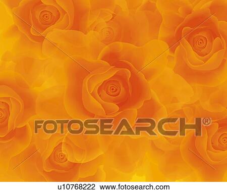 Drawing - Closed Up Image of Several Orange-colored Roses, High Angle View, Illustration, Illustrative Technique. Fotosearch