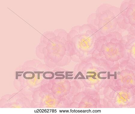 Stock Illustration - Closed Up Image of Several Light Pink-colored Carnations, Illustration, Illustrative Technique. Fotosearch