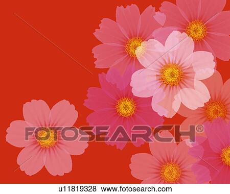Closed Up Image of Several Pink-colored Cosmos on a Red Surface, Illustration, Illustrative Technique View Large Illustration Stock Illustration - Closed Up Image of Several Pink-colored Cosmos on a Red Surface, Illustration, Illustrative Technique. Fotosearch