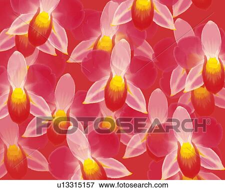 Stock Illustration - Closed Up Image of Several Pink-colored Orchids, Illustration, Illustrative Technique. Fotosearch