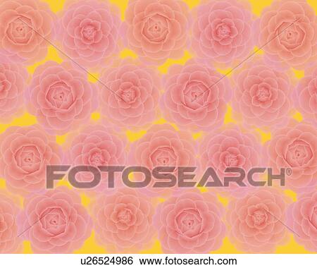 Stock Illustration - Closed Up Image of Several Pink-colored Camellias, Illustration, Illustrative Technique. Fotosearch