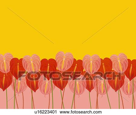 Closed Up Image of Several Red and Pink-colored Anthuriums In Front of a Yellow and Pink Surface, Front View, Illustration, Illustrative Technique View Large Illustration Clip Art - Closed Up Image of Several Red and Pink-colored Anthuriums In Front of a Yellow and Pink Surface, Front View, Illustration, Illustrative Technique. Fotosearch