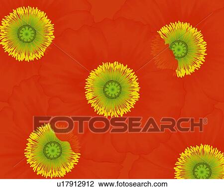 Closed Up Image of Several Red-colored Anemones, Illustration, Illustrative Technique View Large Illustration Drawing - Closed Up Image of Several Red-colored Anemones, Illustration, Illustrative Technique. Fotosearch