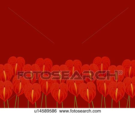 Stock Illustration - Closed Up Image of Several Red-colored Anthuriums, Illustration, Illustrative Technique. Fotosearch