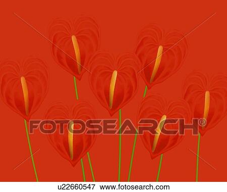 Stock Illustration - Closed Up Image of Several Red-colored Anthuriums In Front of a Red Surface, Front View, Illustration, Illustrative Technique. Fotosearch