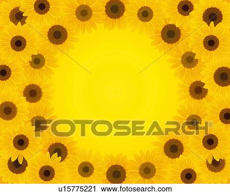 Closed Up Image of Several Small Sunflowers Forming a Circle, High Angle View, Illustration, Illustrative Technique View Large Illustration Clip Art - Closed Up Image of Several Small Sunflowers Forming a Circle, High Angle View, Illustration, Illustrative Technique. Fotosearch