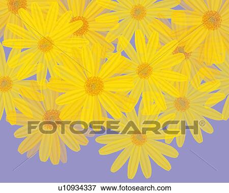 Stock Illustration - Closed Up Image of Several Yellow-colored Marguerites on a Light-blue Surface, Illustration, Illustrative Technique. Fotosearch