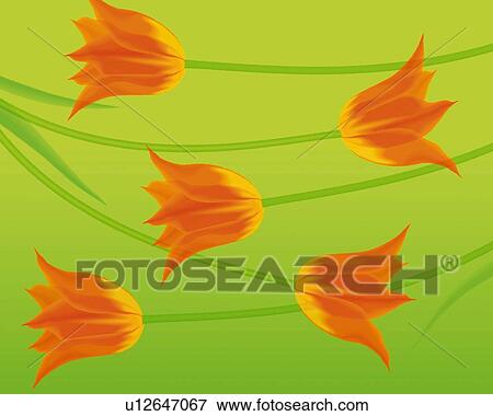 Stock Illustration - Closed Up Image of Several Orange-colored Tulips on a Green Surface, High Angle View, Illustration, Illustrative Technique. Fotosearch