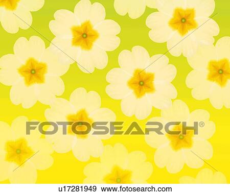 Stock Illustration - Closed Up Image of Several White-colored Primulas, Illustration, Illustrative Technique. Fotosearch