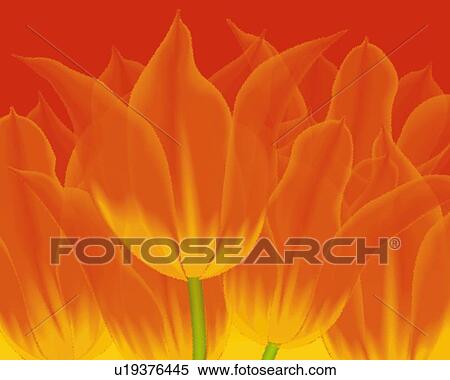 Stock Illustration - Closed Up Image of Several Orange-colored Tulips, Illustration, Illustrative Technique. Fotosearch