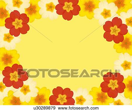 Stock Illustration - Closed Up Image of Several Different-colored Primulas, Illustration, Illustrative Technique. Fotosearch
