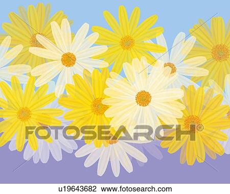 Drawing - Closed Up Image of Several Yellow and White Marguerites on a Light Purple- and Blue-colored Surface, Illustration, Illustrative Technique. Fotosearch