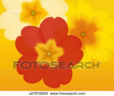 Stock Illustration - Closed Up Image of Three Different-colored Primulas, Illustration, Illustrative Technique. Fotosearch