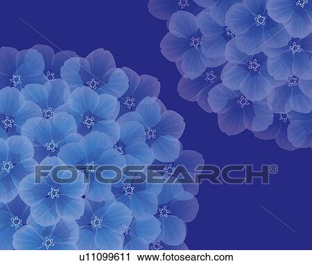 Clip Art - Closed Up Image of Two Blue Hydrangeas, Illustration, Illustrative Technique. Fotosearch