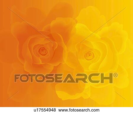 Closed Up Image of Two Different-colored Roses, Illustration, Illustrative Technique View Large Illustration Stock Illustration - Closed Up Image of Two Different-colored Roses, Illustration, Illustrative Technique. Fotosearch