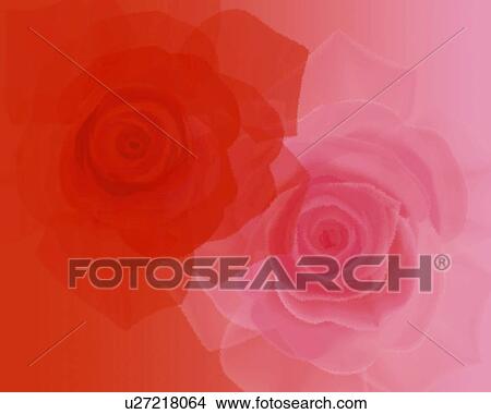 Stock Illustration - Closed Up Image of Two Different-colored Roses, Illustration, Illustrative Technique, High Angle View. Fotosearch