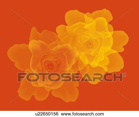 Stock Illustration - Closed Up Image of Two Yellow-colored Roses, High Angle View, Illustration, Illustrative Technique. Fotosearch