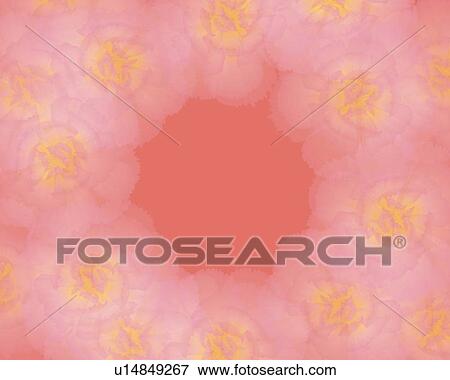 Stock Illustration - Image of a Circle of Pink-colored Carnations, High Angle View, Illustration, Illustration Technique. Fotosearch