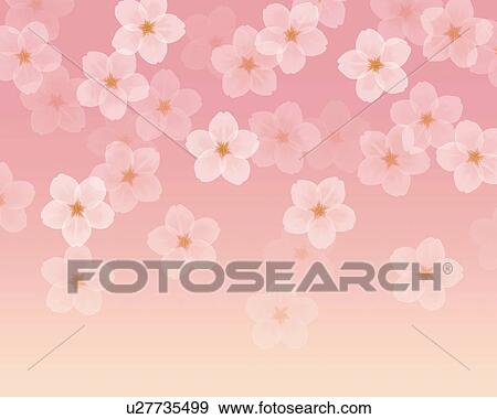 Stock Illustration - Image of Several Cherry Blossoms, Illustration, Illustrative Technique. Fotosearch
