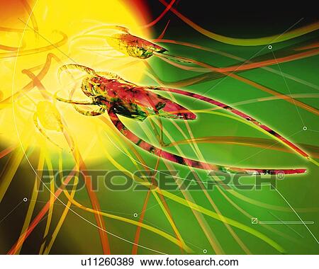 Stock Illustration - Insects, CG, 3D. Fotosearch