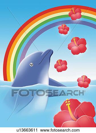 イルカ で 虹 そして Hibiscuses 絵 イラスト クリップアート U Fotosearch