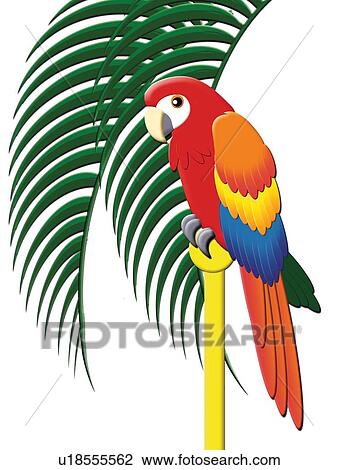 Drawing - Colorful Parrot, Painting, Illustration. Fotosearch