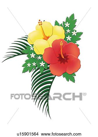Stock Illustration - Hibiscus, Painting, Illustration. Fotosearch
