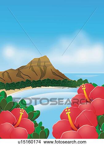 Stock Illustration - Hibiscuses and Mountain, Painting, Illustration. Fotosearch