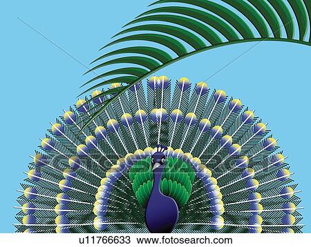 Peacock and Tropical Leaf, Painting, Illustration View Large Illustration Drawing - Peacock and Tropical Leaf, Painting, Illustration. Fotosearch