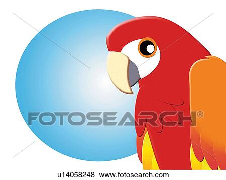 Stock Illustration - Red Parrot, Painting, Illustration. Fotosearch