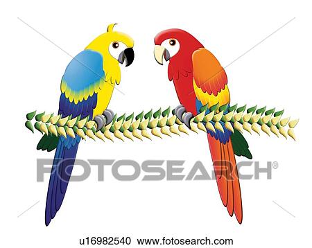 Clipart - Two Parrots, Painting, Illustration. Fotosearch