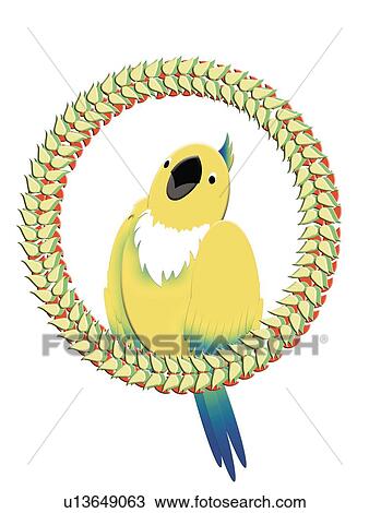 Drawing - Yellow Parrot on Wreath, Painting, Illustration. Fotosearch