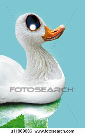 A White Duck, Side View, CG View Large Illustration Stock Illustration - A White Duck, Side View, CG. Fotosearch