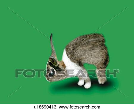 Drawing - Rabbit with Fighting Spirit, High Angle View, Copy Space, CG. Fotosearch