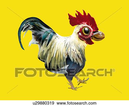 Stock Illustration - Rooster, Side View, CG. Fotosearch