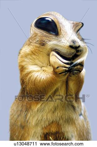 Clip Art - Smiling Prairie Dog, Front View, CG. Fotosearch