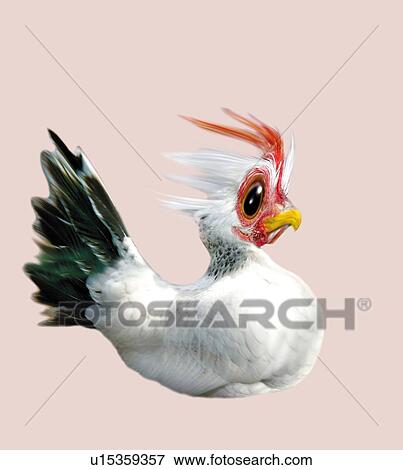 Stock Illustration - Speedy Chicken, Side View, CG. Fotosearch