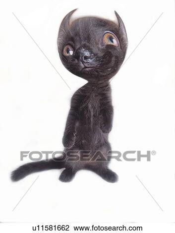 Unmotivated Black Cat, Front View, CG View Large Illustration Drawing - Unmotivated Black Cat, Front View, CG. Fotosearch