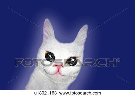 Drawing - White Cat with Sparkling Eyes and Aura, Front View, CG. Fotosearch