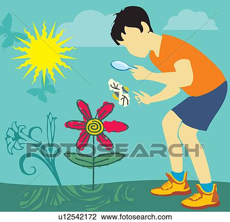 Boy looking at butterfly through magnifying glass View Large Illustration Drawing - Boy looking at butterfly through magnifying glass. Fotosearch