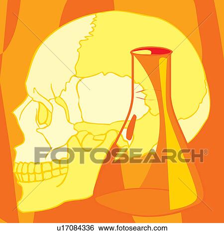 Close-up view of human skull and beaker View Large Illustration Stock Illustration - Close-up view of human skull and beaker. Fotosearch