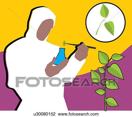 Drawing - Front view of a scientist putting leaf into flask . Fotosearch